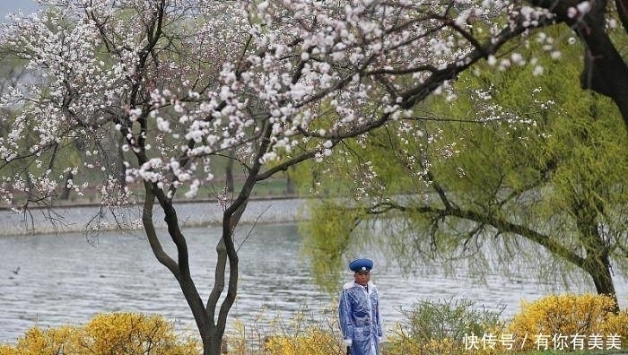  旅游|朝鲜女交警害羞又调皮，见到我们举起相机就转身，不让拍正脸