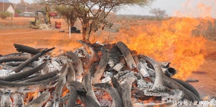 查货|海关查货蛇皮袋, 一把火烧得心都在滴血