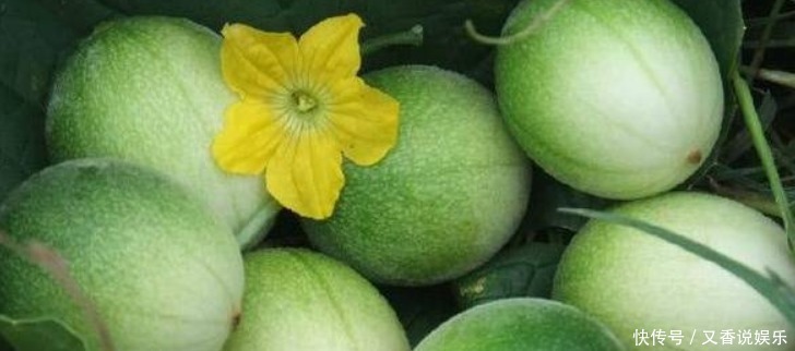  抗衰|女性不想变黄脸婆，常吃3种食物，刮油消脂，美容抗衰，改善睡眠