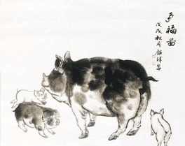  善于|大金猪脾气性格外向，他们都不善于隐藏自己的想法