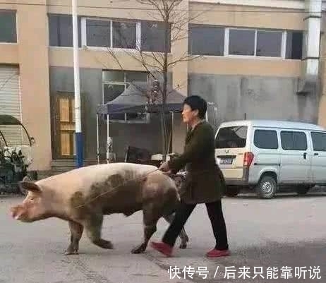 段子|搞笑图片幽默段子笑话：妹子你可小心点哦，别被仙人掌扎到了啊