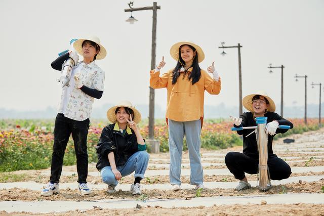 尴尬|《向往》中情商最低的嘉宾何炅和黄磊都带不动,大写的尴尬