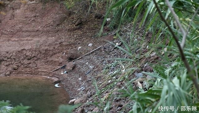  路遇|8名阿里员工路遇车祸救下4人 获奖10万 终身免费千岛湖吃鱼头