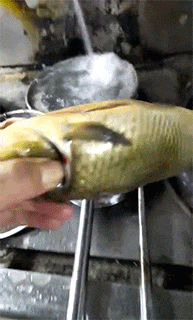 烧伤|搞笑GIF:面对烧伤的他,