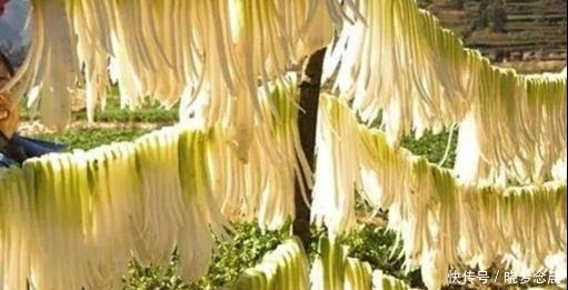 茄子|4种夏季食材,晒干后比新鲜的好吃10倍!放一年都不坏