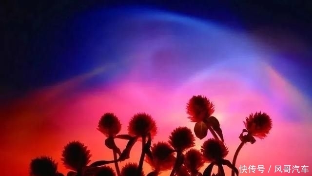  网红|这位奶奶大器晚成，72岁学摄影，89岁办影展，想退休可实力不允许