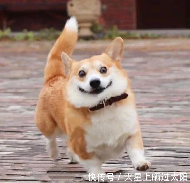 换上|50张幸运头像|换上必有好运