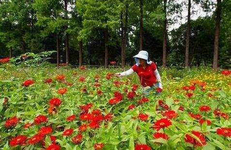 沿途|全自动无人驾驶的五号线要来了！沿途还有这些好玩的