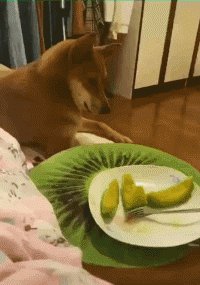  大叔|搞笑GIF：这位大叔，你也太厉害了！这东西可是不轻！