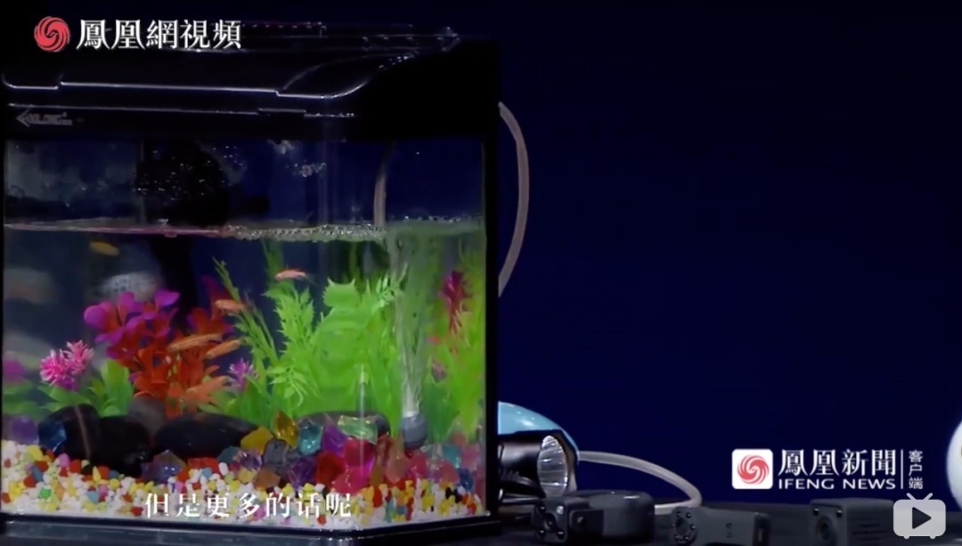  隐藏摄像头|那些不敢住酒店的女生（细思极恐）