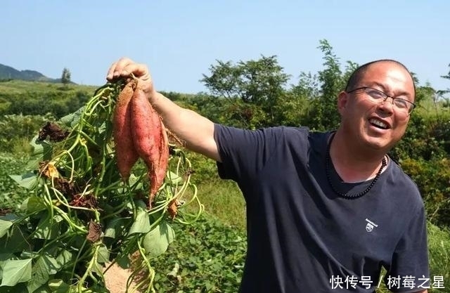 样板片区|乡村振兴看威海主题活动启动，首站走进埠柳