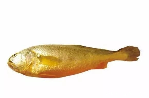  认出|海鲜大全, 你能认出多少