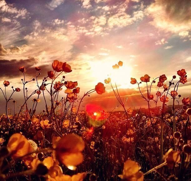 逼格|手机摄影7个高级拍摄技巧,手机一样可以拍出高逼格照片