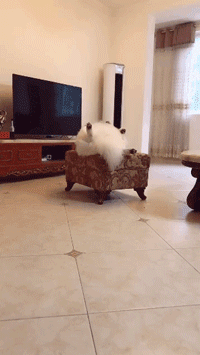 难受|“妹子的护甲快掉了,我看着都难受...”哈哈哈又犯强迫症了!