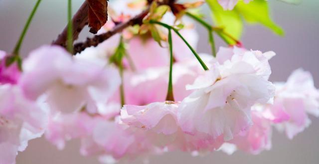 必读|发人深省的24句人生感悟句子,精辟入骨,一生必读