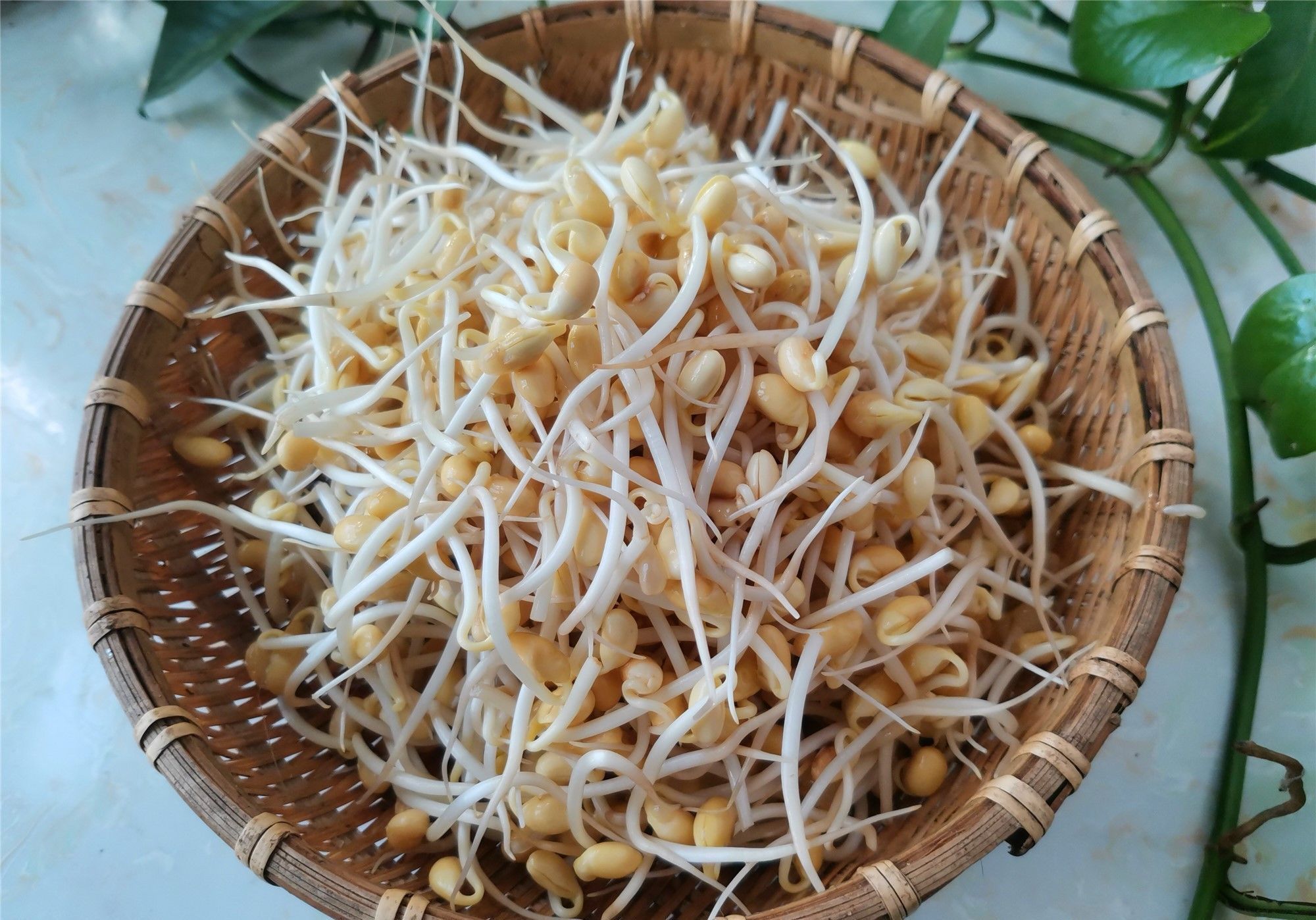 人体吸收|黄豆芽怎样做好吃,这个家常做法特香,不用放肉,佐酒下饭都不错