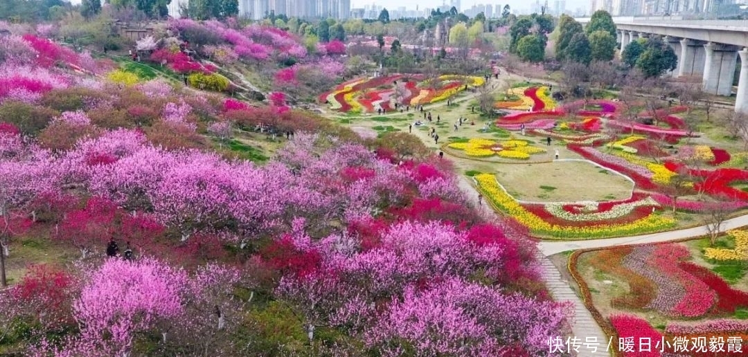  浅谈|浅谈秀丽东方IP对成都公园城市建设的借鉴作用