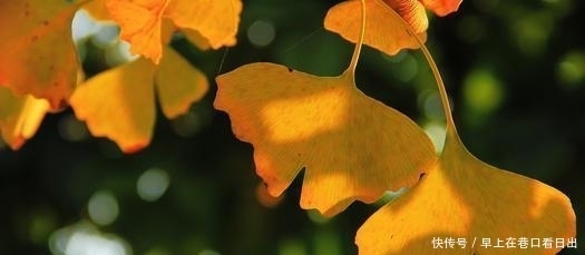  家里|家里有这三个证的，恭喜了！