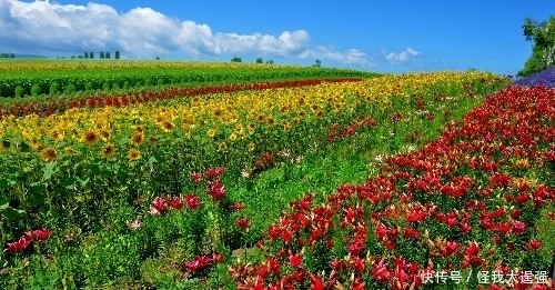 横财|9号起,运势飞涨,有福气有财运,横财赚不停,钞票堆成山三生肖