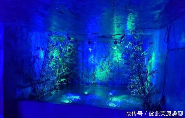 值得|李子坝网红防空洞值得看吗?