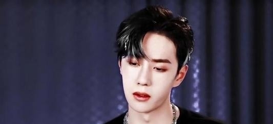 活该|王一博综艺化身应援团,活该他吃下肖战资源