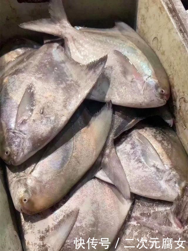 价格|以后去市场买这5种鱼,连鱼铺老板都会夸你是行家