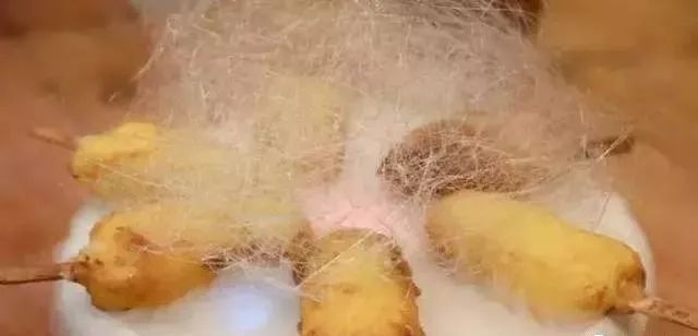 道菜|中国大厨“最烦”5道菜，老板、服务员超“嫌弃”，难做、难打包