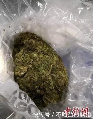 警惕|蔓越莓干中竟夹藏毒品，千万要警惕！