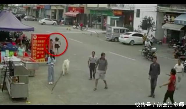  老人|老人被狗绳绊倒去世，12岁女孩遛狗是主因，我们还需要多少教训？