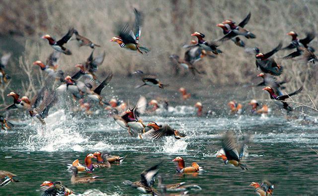  余姚|宁波“最富裕”的县城，即将超过绍兴，不是慈溪和余姚