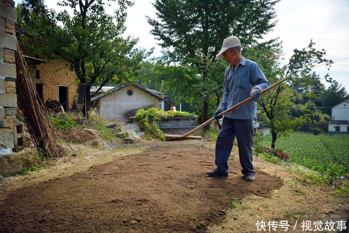修路|古稀老人住土砖屋40年，5年建8米高石坝，三天两头“修路”