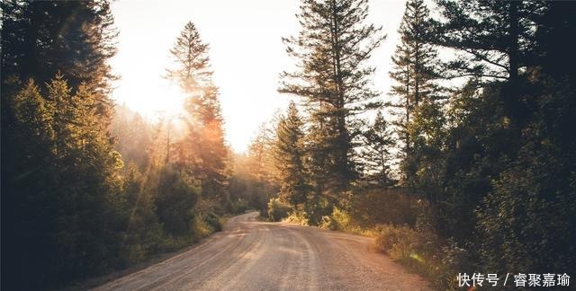 依旧没|落叶知秋来,思念随风走(深度好句)