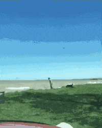  死神|搞笑GIF：与死神擦肩而过