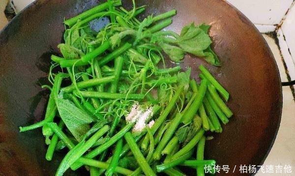 调经|是夏天这道菜是宝贝,用来调经养血,2元一公斤
