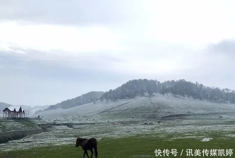  下雪|最新：这里下雪了！难怪安康这么冷的……