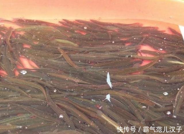 杂质|清洗泥鳅别认为很麻烦,在水中加点“它”,杂质自动跑出,味道好