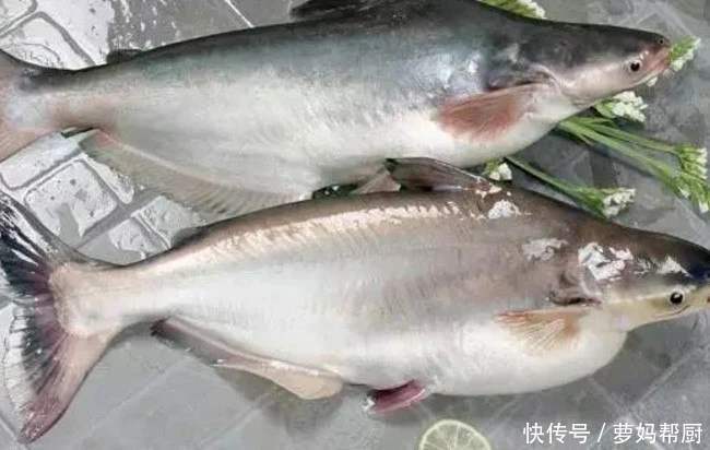 巴沙鱼和龙利鱼|超市里卖的龙利鱼,大部分是假的,别被骗了!教你如何区分