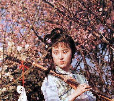  红楼梦|林黛玉早逝，薛宝钗独守空房，成也红楼，败也红楼