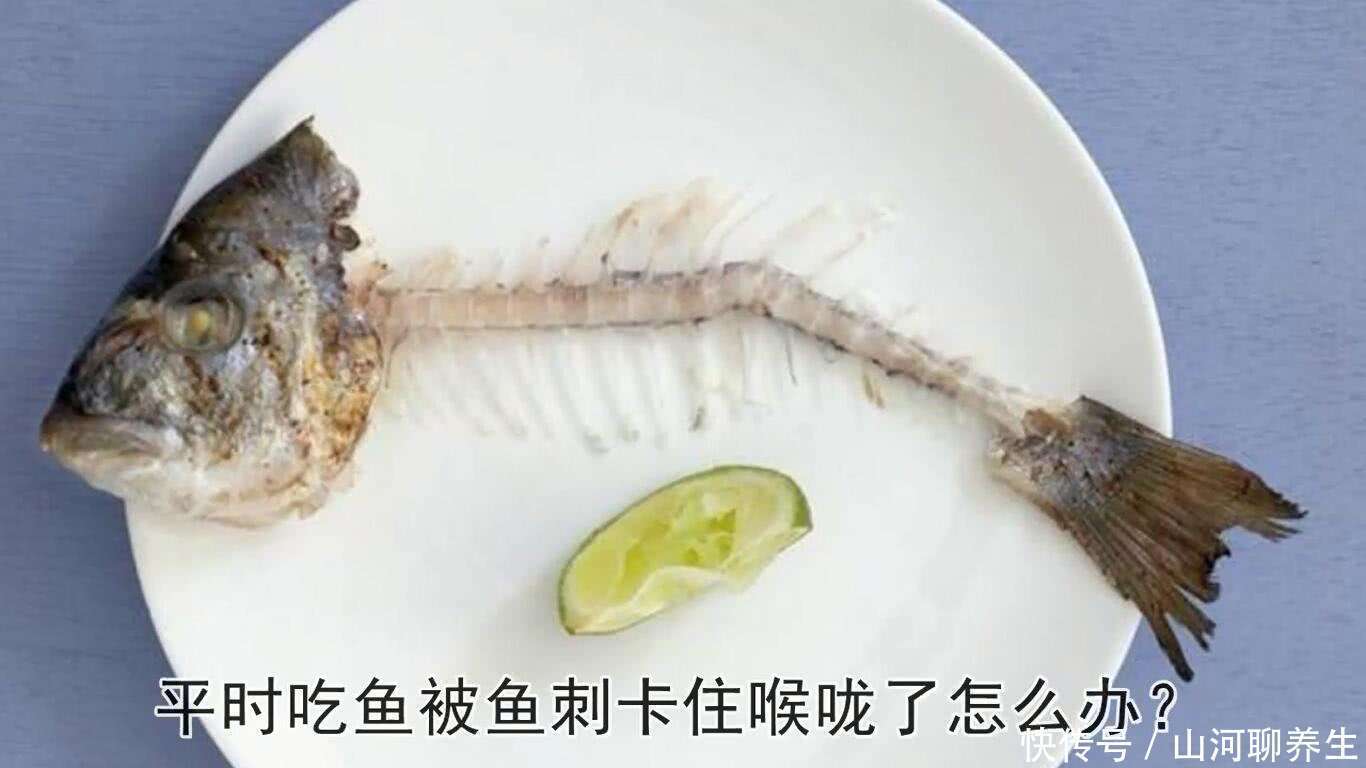 鱼刺|误吞鱼刺喝醋?喝隔夜水?饭后刷牙?不要再被骗了