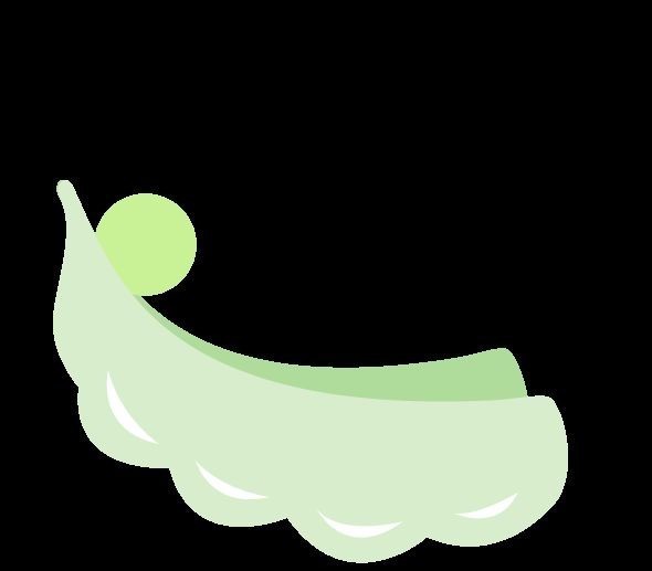 贾智宏|木垒河畔‖【口述历史】贾智宏《东北人家》