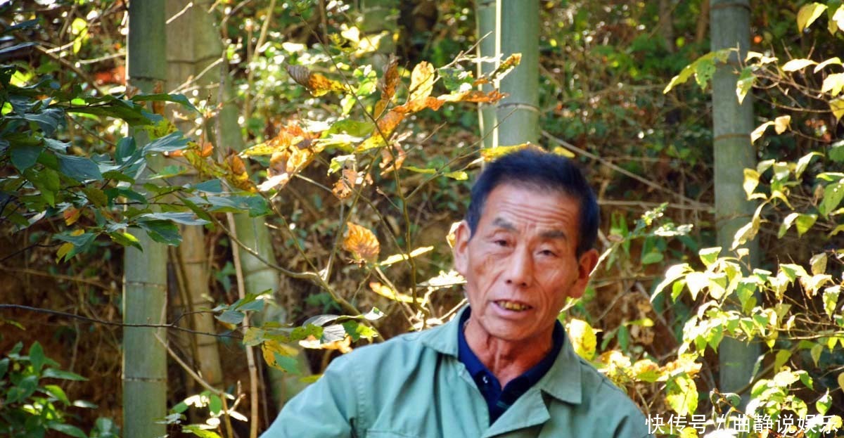 山村|山村村民在外打工,漂亮楼房无人住,64岁大爷来此“上了瘾”