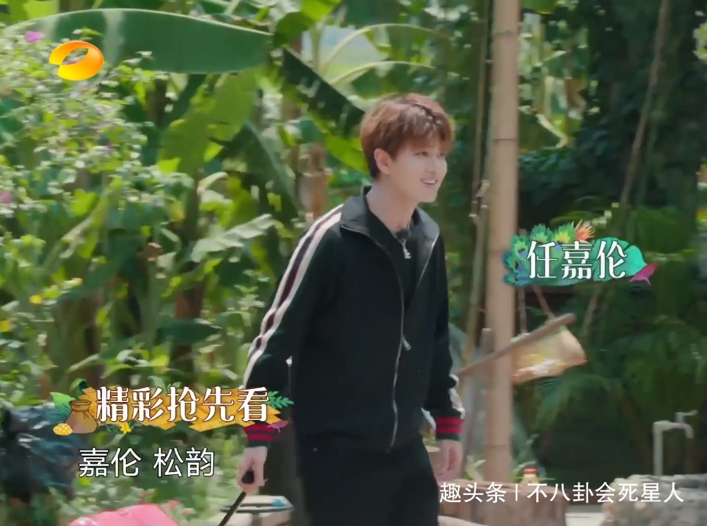 杨紫|《向往4》飞行嘉宾榜单杨幂第四杨紫第八,第一是芒果台亲儿子