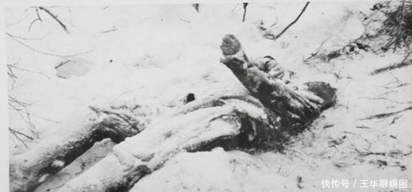 遗憾|这位苏军元帅的两次建议足以改写历史,却被斯大林遗憾地拒绝