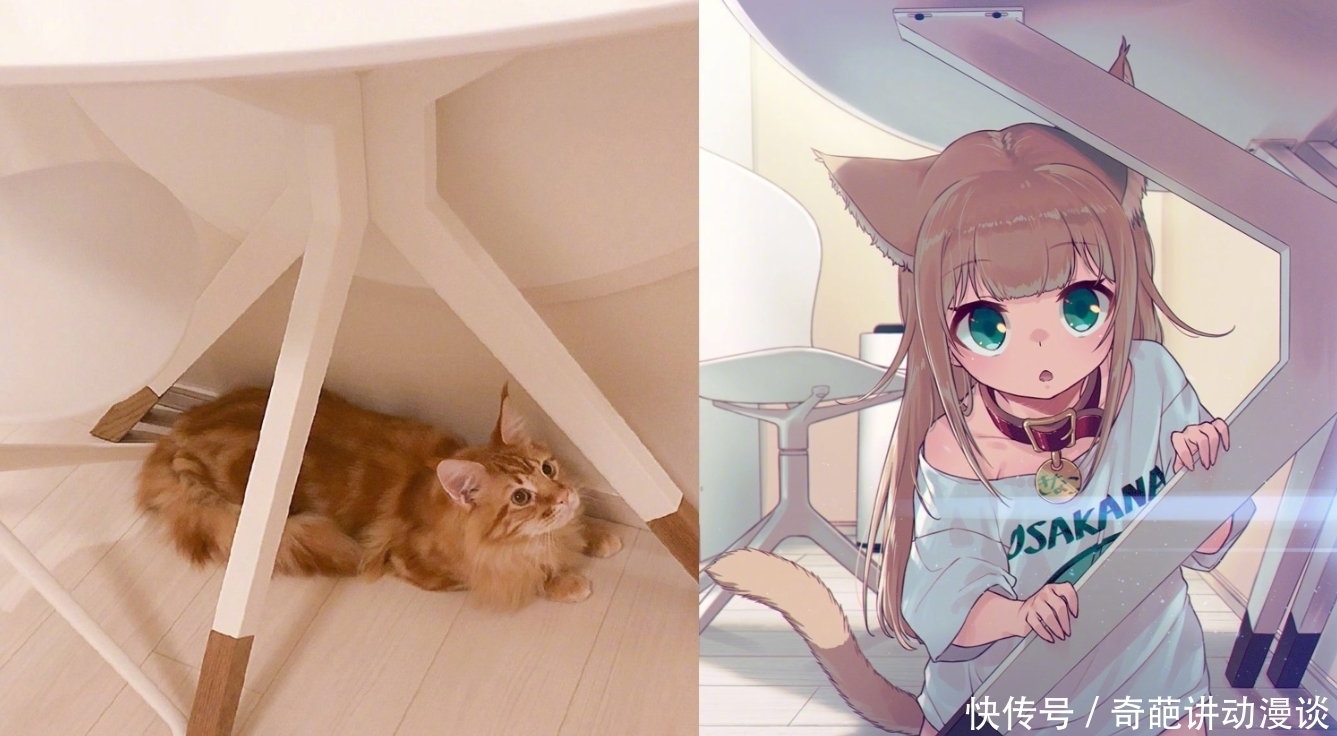 猫咪|想让猫咪变成人?变是不可能的,但画师可以将其画出来!