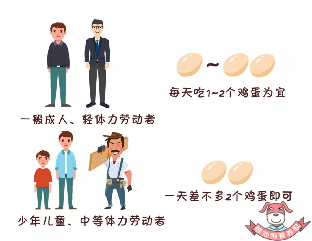 营养|土鸡蛋真的比洋鸡蛋好吗?鸡蛋怎么吃更有营养?