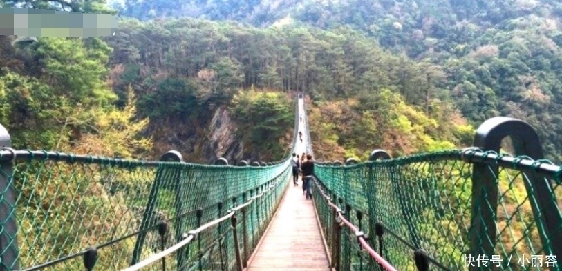  母亲|家属全责？吊桥缝隙太大2岁男童一脚踩空坠亡，母亲想拉住却没来得及