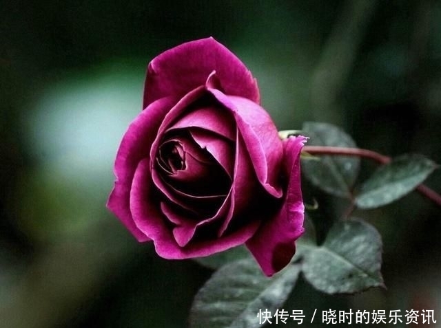 择一人深爱,等一人终老|诗词 | 深爱