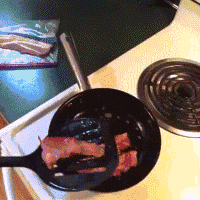 狗熊|搞笑GIF：打赢了是英雄，打败了是狗熊！