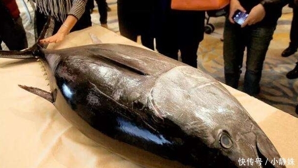 帝王|世界上的4种“顶级”海鲜,帝王蟹上榜,很多人叫不出图2的名字