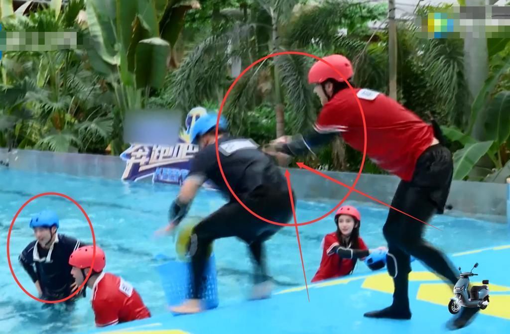 大林子|郑恺推郭麒麟下水,蔡徐坤的反应,暴露两人真实关系